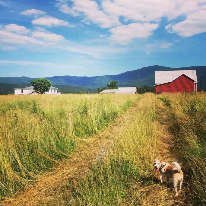 Madeline Farms Villa Luray Exteriör bild