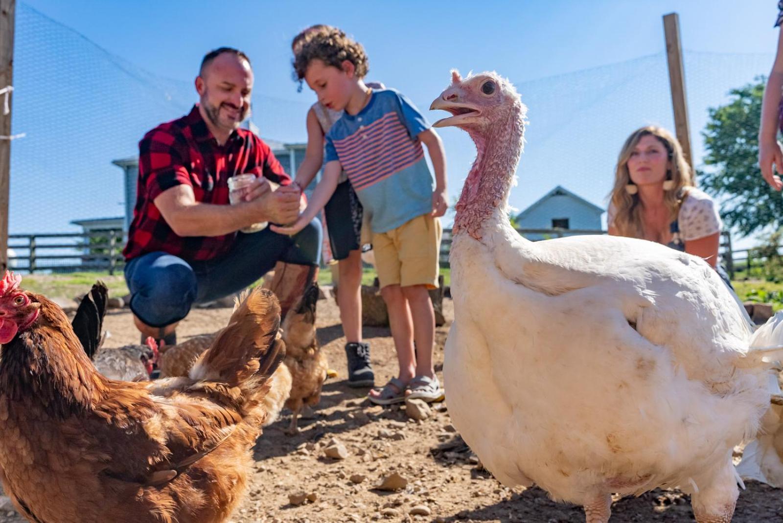 Madeline Farms Villa Luray Exteriör bild