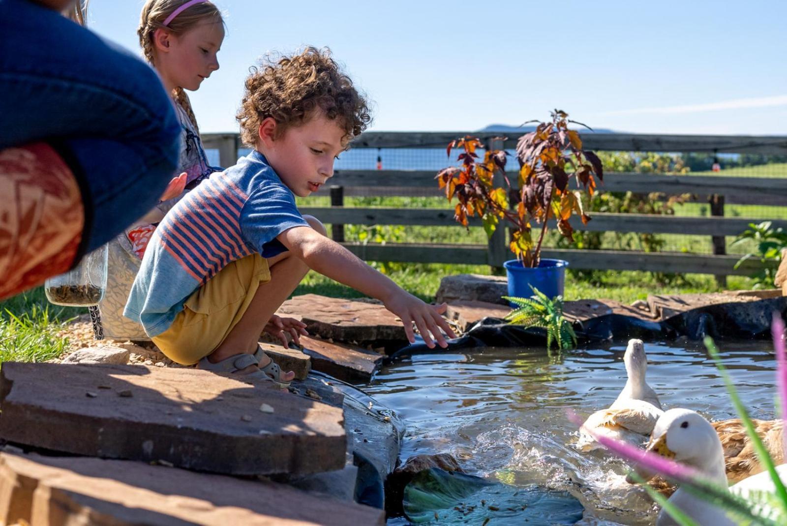 Madeline Farms Villa Luray Exteriör bild